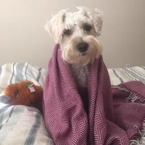 Meet your Posher, Eric